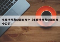 小程序开发公司有几个（小程序开发公司有几个公司）